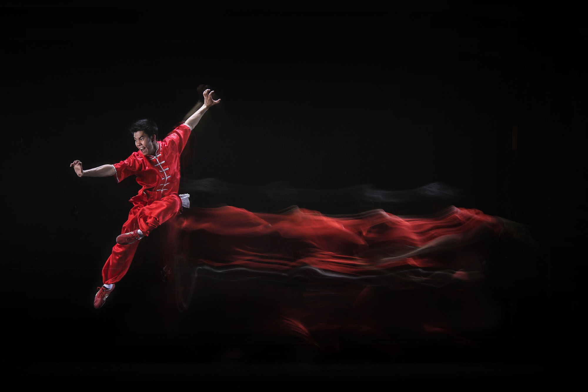 The Five Animals of Kung Fu