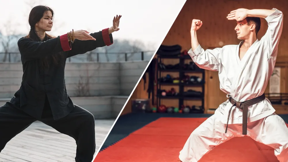 Kung Fu vs. Karate: Key Differences Explained | SwiftKick