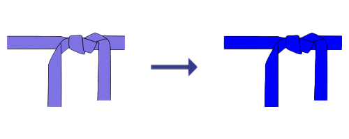 Purple Belt to Blue Belt