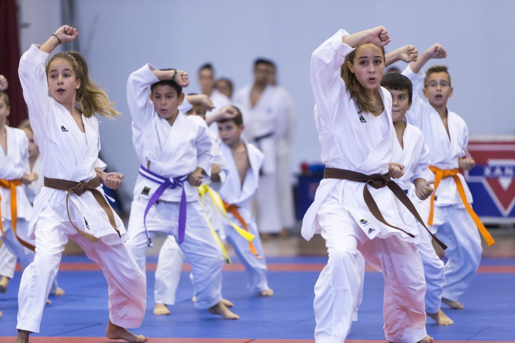 Girls in martial arts