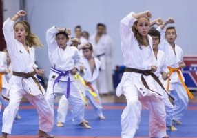 Girls in martial arts